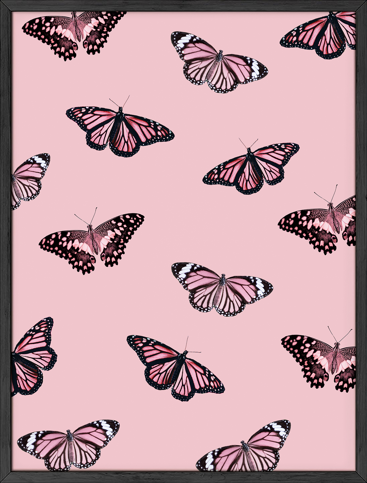 Pink butterflies