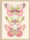 Pink and Green Butterfly