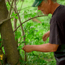 5 Megapixel Trail Camera (Time and Date Stamp) with 4GB Memory Card