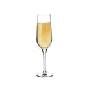 Refine Set of 2 Champagne Glasses by NUDE USA