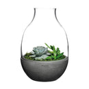 Eden Terrarium Clear with Moulded Concrete Base by NUDE USA