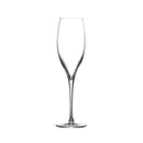 Terroir Set of 2 Champagne Glasses by NUDE USA