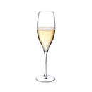 Terroir Set of 2 Champagne Glasses by NUDE USA