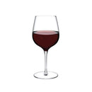 Terroir Set of 2 Red Wine Glasses 590 cc by NUDE USA