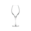 Vinifera Set of 2 Red Wine Glasses 450 cc by NUDE USA