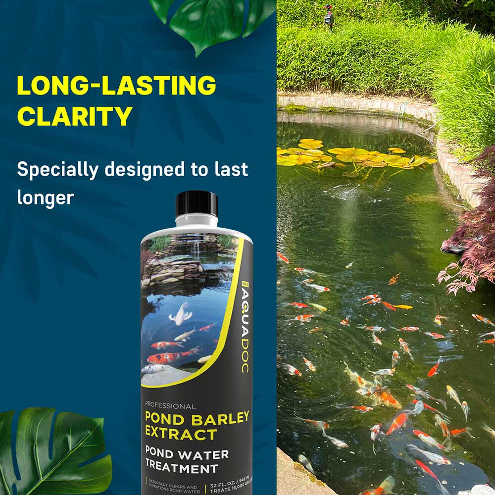 Pond Barley Extract, photo 9 of 11