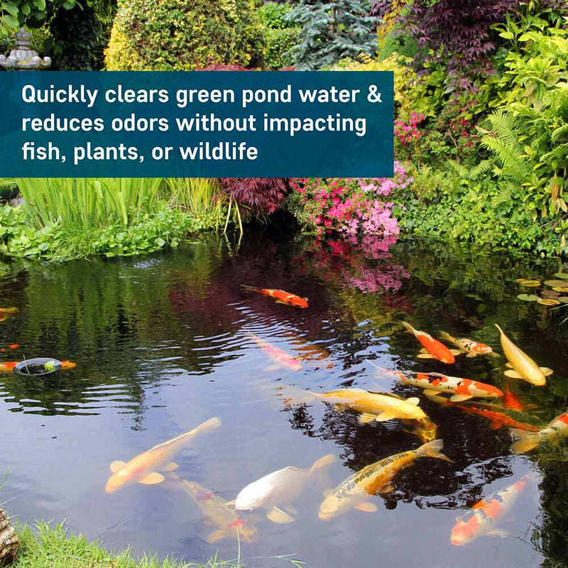Pond Barley Extract, photo 3 of 11
