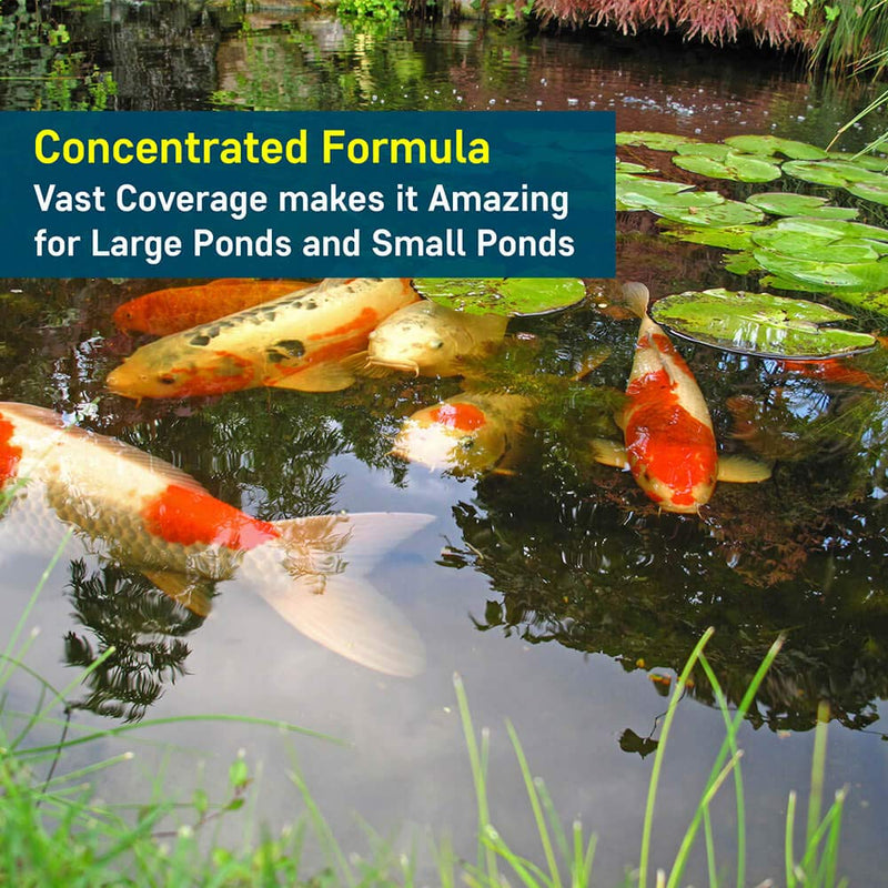 Pond Barley Extract, photo 4 of 11