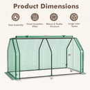 Portable Mini Greenhouse with PE Cover and Roll-Up Door