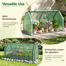 Portable Mini Greenhouse with PE Cover and Roll-Up Door