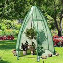 5.5 x 5.5 x 6 Feet Portable Mini Greenhouse with All-Weather PE Cover by LJGDeals