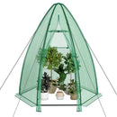 5.5 x 5.5 x 6 Feet Portable Mini Greenhouse with All-Weather PE Cover by LJGDeals