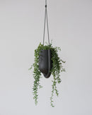Portico Planter