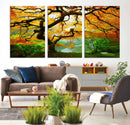 Portland Japanese Maple Tree Canvas Wall Art – Japanese