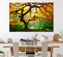 Portland Japanese Maple Tree Canvas Wall Art – Japanese