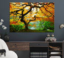 Portland Japanese Maple Tree Canvas Wall Art – Japanese