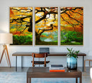 Portland Japanese Maple Tree Canvas Wall Art – Japanese