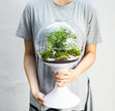 Atomic Space Age Terrarium by Potifiv