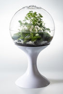 Atomic Space Age Terrarium by Potifiv