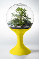 Atomic Space Age Terrarium by Potifiv