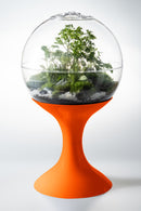 Atomic Space Age Terrarium by Potifiv