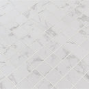 MSI Carrara Porcelain Mosaic Wall and Floor Tile 2"x2" - Praia Collection