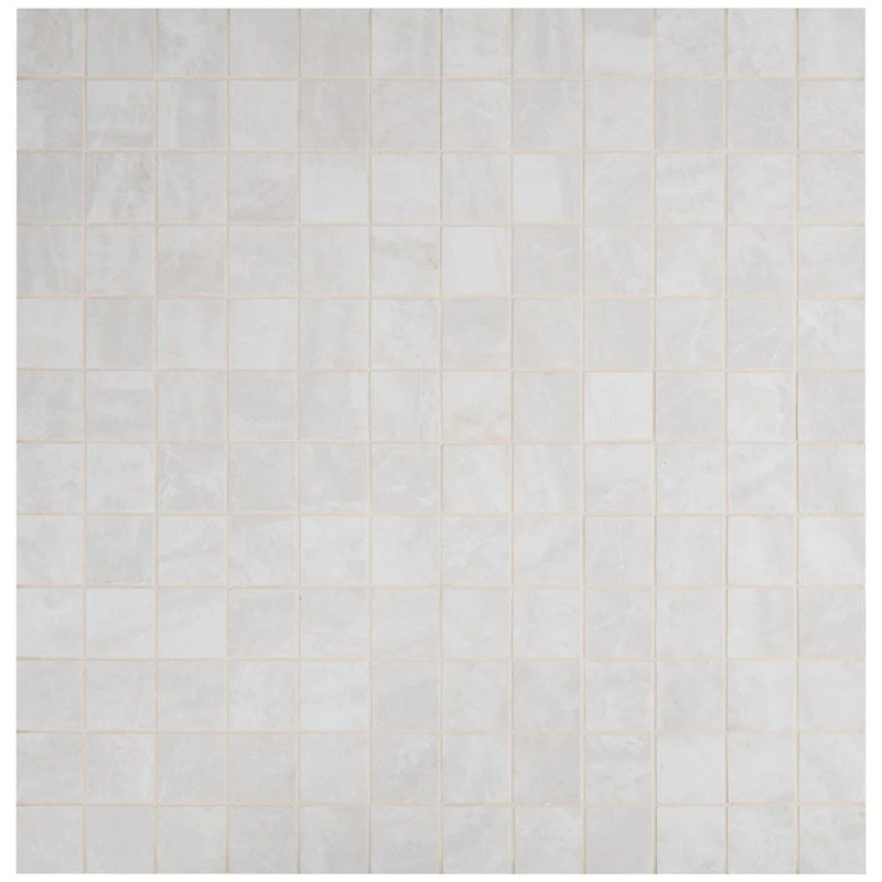 MSI Praia Grey Porcelain Mosaic Wall and Floor Tile 2"x2"