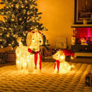 Pre-lit Mama and Baby Poodle Dogs with 60 Warm White LED Lights by LJGDeals