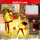 Pre-lit Mama and Baby Poodle Dogs with 60 Warm White LED Lights by LJGDeals