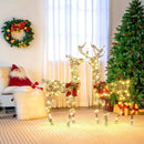 2 Pieces Lighted Reindeer Family with 200 LED Lights by LJGDeals