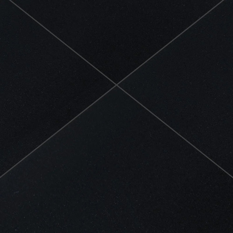 MSI Premium Black Granite Wall and Floor Tile