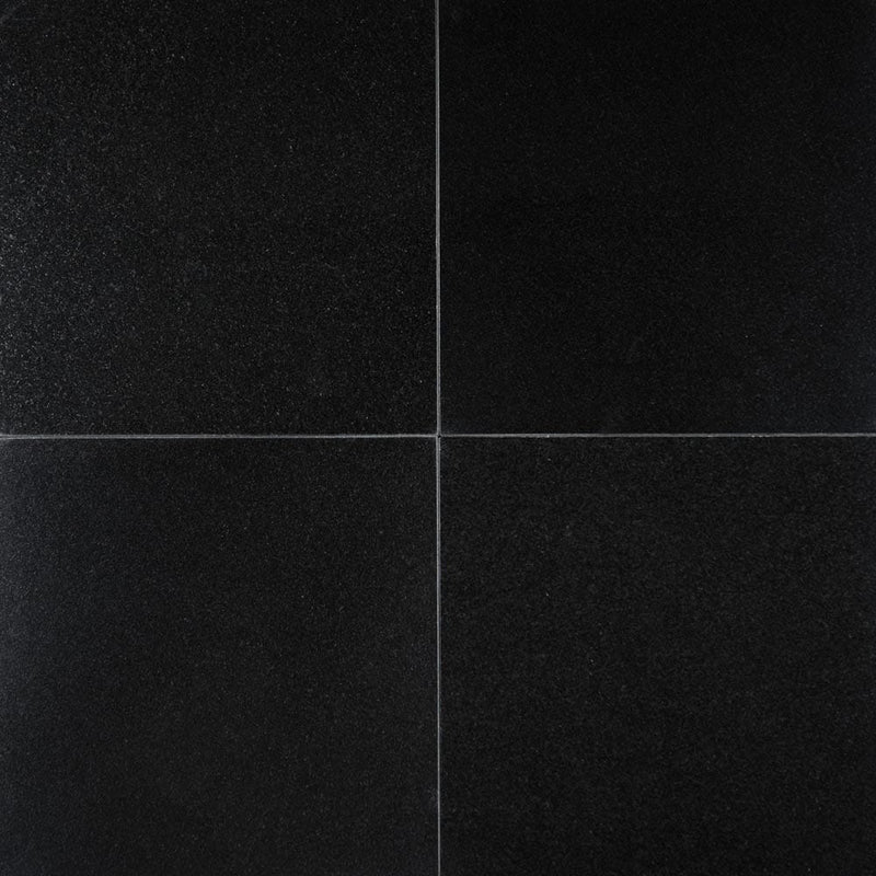 MSI Premium Black Granite Wall and Floor Tile