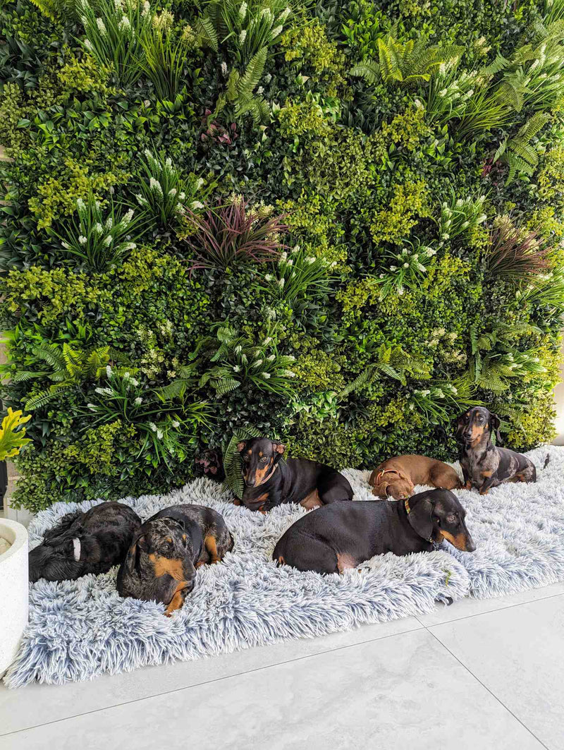 Ultra-Luxury Lush Spring Artificial Vertical Garden Green Wall 40" x 40" 11SQ FT Commercial Grade UV Resistant (Overstock Sale)