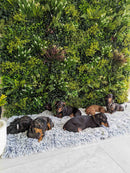 Lush Spring Artificial Vertical Garden Green Wall Panel 40×40in 11 SQ FT – UV Resistant – Commercial Grade