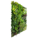 Sample Panel – Urban Greenery Vertical Garden (Small Sample) by Designer Plants USA