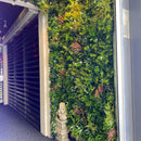 Amazon Jungle Artificial Vertical Garden Green Wall Panel 40×40in 11 SQ FT – UV Resistant – Commercial Grade