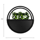 Floating Half Moon Metal Wall Planter – Onyx Black 45cm