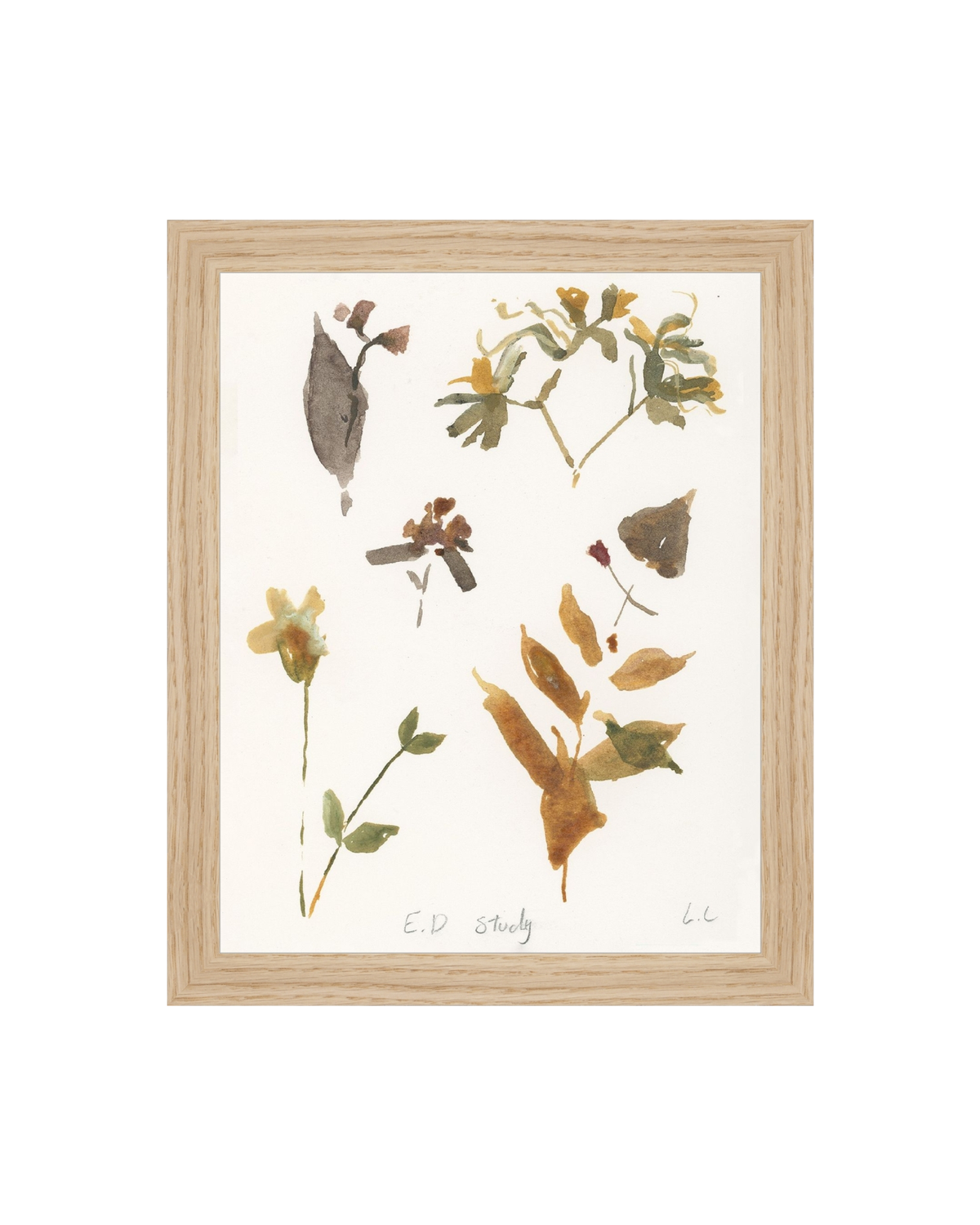 E.D Botanical Study, photo 23 of 34