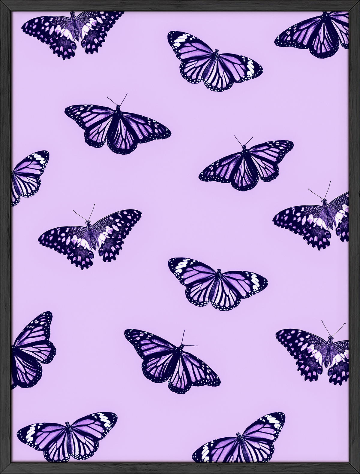 Purple butterflies