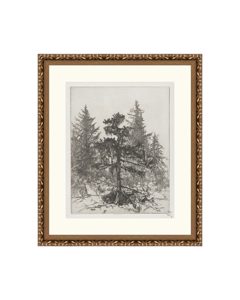 Pine Etching