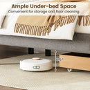 Queen Size Bed Frame with Storage Drawer and Vertical Channel Headboard by LJGDeals