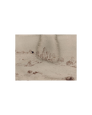 Traces of the Field I