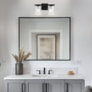 Radiance Modern 2-Light Dimmable Vanity Light