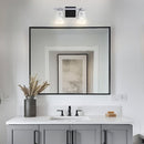 Radiance Modern 2-Light Dimmable Vanity Light