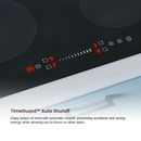Rangaire 24" Induction Cooktop 4 Burners RCI241S