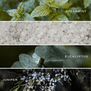 Restore and Renew White Eucalyptus 4.6 oz Bath Bomb by Sweet Water Decor