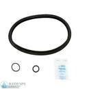 Aladdin RO-KIT 222 [Hayward Star-Clear Cartridge Filter] (RO-KIT222)