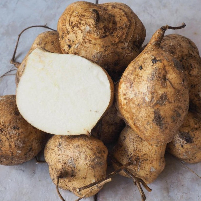 Jicama