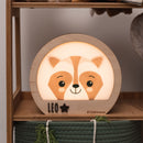 Raccoon Night Light