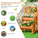 2-Tier Raised Garden Bed with Trellis and Planter Boxes by LJGDeals